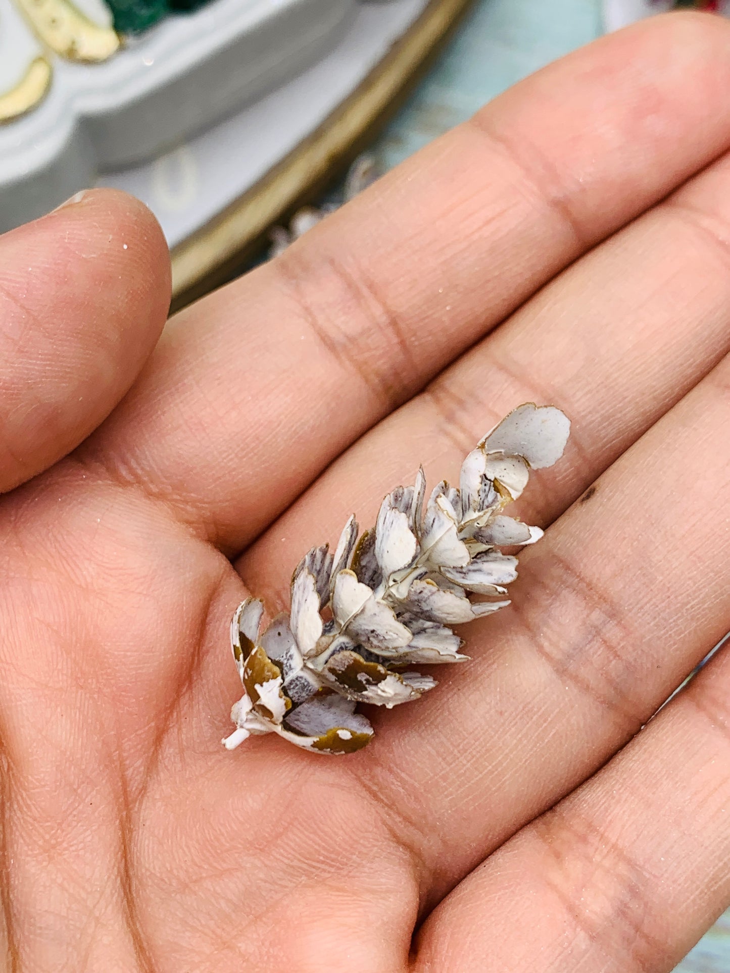 Pinitos (16 unidades)