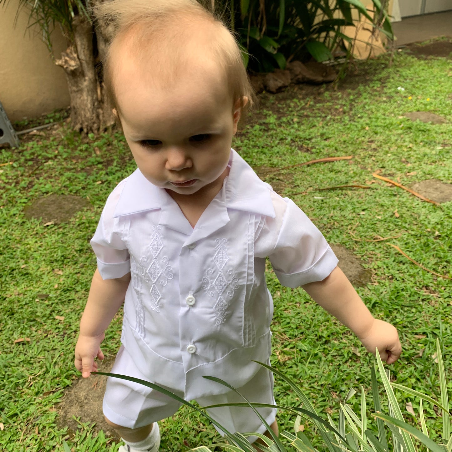Guayabera polo estilo en pantalón o short