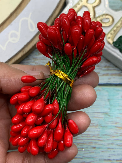 Pistilios rojos temática navidad Premium