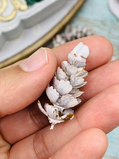 Pinitos (16 unidades)